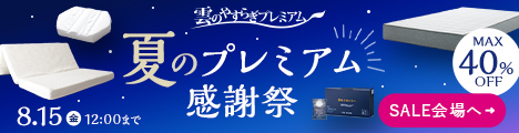 健眠枕 ホワイト 箱入り　カバー付き 健眠枕 ホワイト 箱入り カバー付き