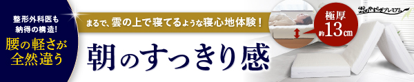 雲のやすらぎプレミアム 三つ折りマットレスの詳細はこちら