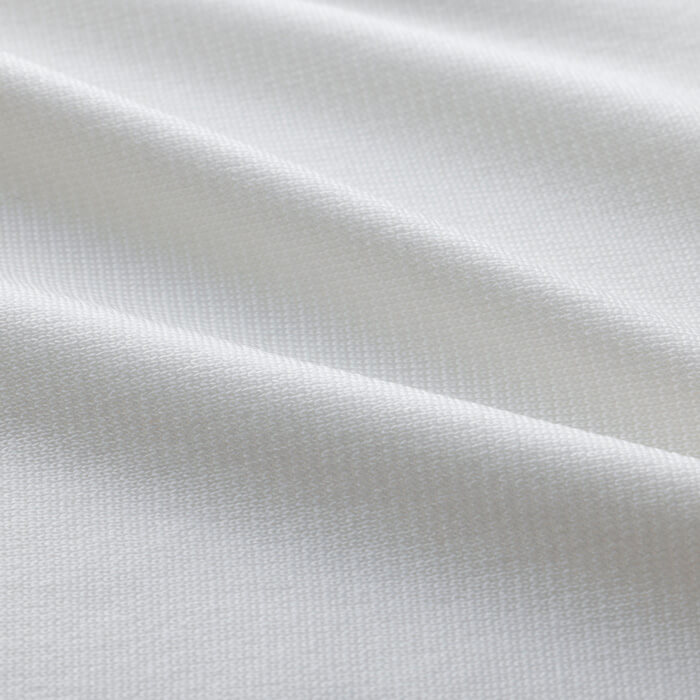 Dr.Bones Pillow for kumonoyasuragiの素材画像（ラフィナン）