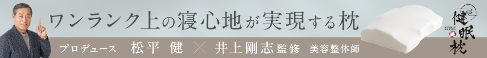 雲のやすらぎプレミアム 健眠枕の詳細はこちら