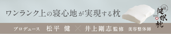 雲のやすらぎプレミアム 健眠枕の詳細はこちら